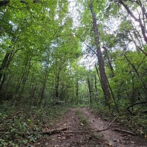 Photo #22 of Boone Farm, Asheboro, NC 80.9 acres