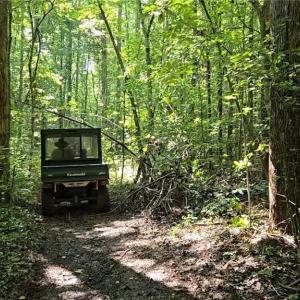 Photo #7 of Boone Farm, Asheboro, NC 80.9 acres