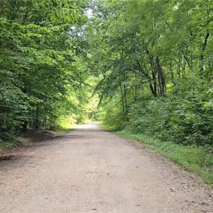 Photo #5 of Boone Farm, Asheboro, NC 80.9 acres