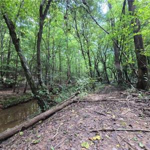 Photo #24 of Boone Farm, Asheboro, NC 80.9 acres