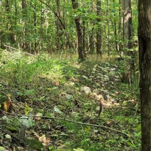 Photo #38 of Boone Farm, Asheboro, NC 80.9 acres