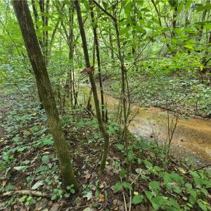 Photo #14 of Boone Farm, Asheboro, NC 80.9 acres