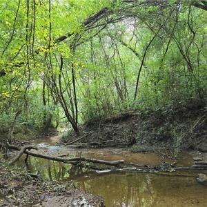 Photo #18 of Boone Farm, Asheboro, NC 80.9 acres