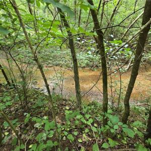 Photo #15 of Boone Farm, Asheboro, NC 80.9 acres