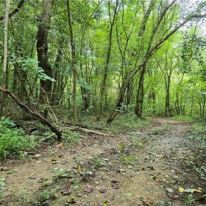 Photo #11 of Boone Farm, Asheboro, NC 80.9 acres