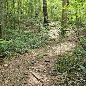 Photo #40 of Boone Farm, Asheboro, NC 80.9 acres