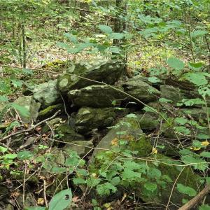 Photo #31 of Boone Farm, Asheboro, NC 80.9 acres