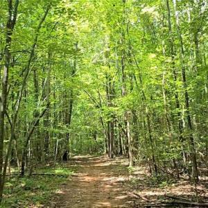 Photo #39 of Boone Farm, Asheboro, NC 80.9 acres