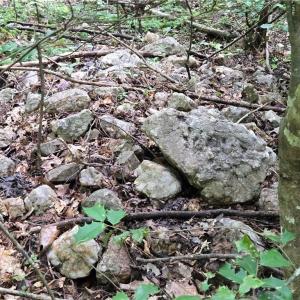 Photo #8 of Boone Farm, Asheboro, NC 80.9 acres