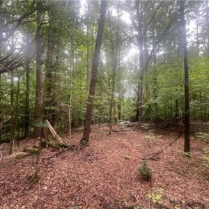 Photo #4 of 5930 Pagemont, Kannapolis, NC 3.6 acres