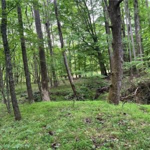 Photo #2 of Jones, Winston-Salem, NC 21.0 acres