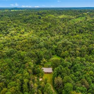 Photo #2 of 1451 John Ed Mabe, Danbury, NC 72.2 acres