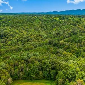 Photo #6 of 1451 John Ed Mabe, Danbury, NC 72.2 acres