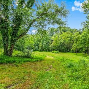 Photo #17 of 1451 John Ed Mabe, Danbury, NC 72.2 acres