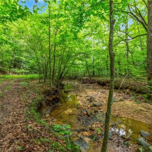 Photo #22 of 1451 John Ed Mabe, Danbury, NC 72.2 acres