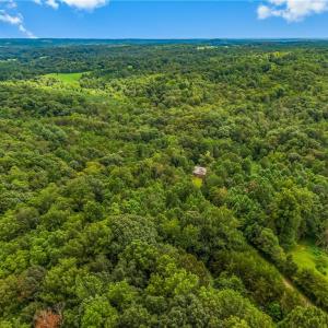 Photo #5 of 1451 John Ed Mabe, Danbury, NC 72.2 acres