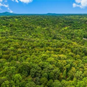 Photo #9 of 1451 John Ed Mabe, Danbury, NC 72.2 acres