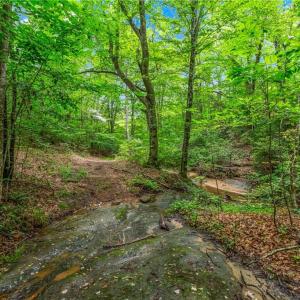 Photo #24 of 1451 John Ed Mabe, Danbury, NC 72.2 acres