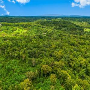 Photo #10 of 1451 John Ed Mabe, Danbury, NC 72.2 acres