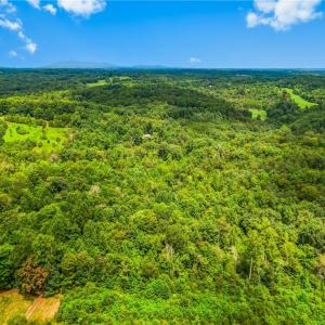 Photo #11 of 1451 John Ed Mabe, Danbury, NC 72.2 acres