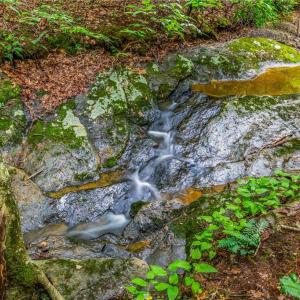 Photo #19 of 1451 John Ed Mabe, Danbury, NC 72.2 acres