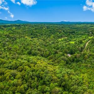 Photo #8 of 1451 John Ed Mabe, Danbury, NC 72.2 acres