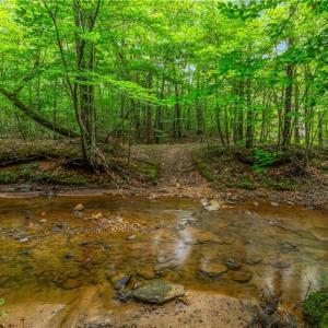 Photo #21 of 1451 John Ed Mabe, Danbury, NC 72.2 acres