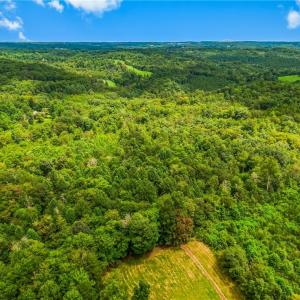 Photo #12 of 1451 John Ed Mabe, Danbury, NC 72.2 acres