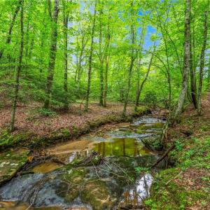 Photo #1 of 1451 John Ed Mabe, Danbury, NC 72.2 acres
