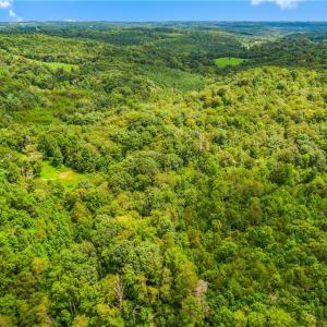 Photo #4 of 1451 John Ed Mabe, Danbury, NC 72.2 acres