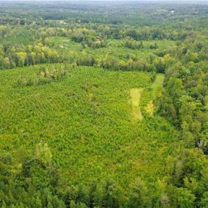 Photo #6 of 1396-1420 Fitch, Yanceyville, NC 72.0 acres