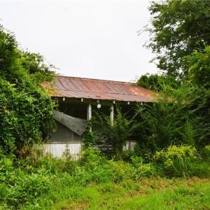Photo #43 of 1396-1420 Fitch, Yanceyville, NC 72.0 acres