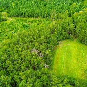 Photo #16 of 1396-1420 Fitch, Yanceyville, NC 72.0 acres