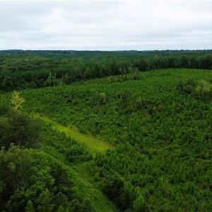 Photo #3 of 1396-1420 Fitch, Yanceyville, NC 72.0 acres