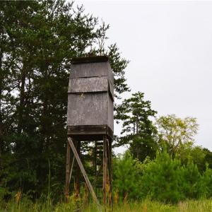 Photo #28 of 1396-1420 Fitch, Yanceyville, NC 72.0 acres