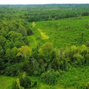 Photo #5 of 1396-1420 Fitch, Yanceyville, NC 72.0 acres