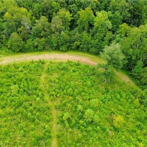 Photo #9 of 1396-1420 Fitch, Yanceyville, NC 72.0 acres