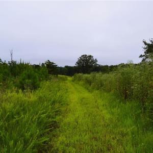 Photo #24 of 1396-1420 Fitch, Yanceyville, NC 72.0 acres