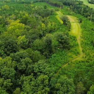 Photo #10 of 1396-1420 Fitch, Yanceyville, NC 72.0 acres