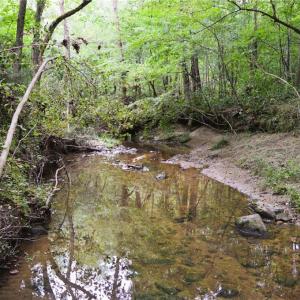 Photo #40 of 1396-1420 Fitch, Yanceyville, NC 72.0 acres