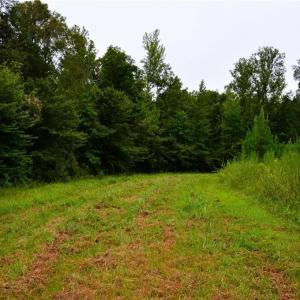 Photo #35 of 1396-1420 Fitch, Yanceyville, NC 72.0 acres