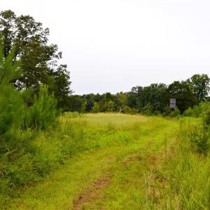 Photo #31 of 1396-1420 Fitch, Yanceyville, NC 72.0 acres
