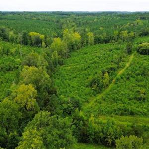 Photo #4 of 1396-1420 Fitch, Yanceyville, NC 72.0 acres