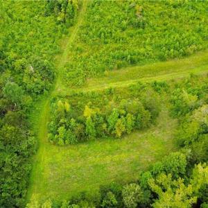 Photo #8 of 1396-1420 Fitch, Yanceyville, NC 72.0 acres