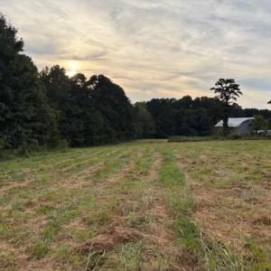 Photo #11 of 1610 NC Highway 61, Whitsett, NC 1.9 acres