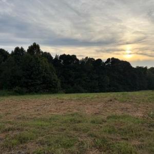 Photo #16 of 1610 NC Highway 61, Whitsett, NC 1.9 acres