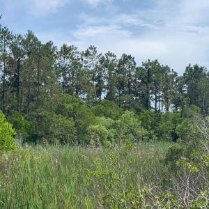Photo #4 of 0 Hwy 64/264 Shipyard Road, Manns Harbor, NC 5.7 acres