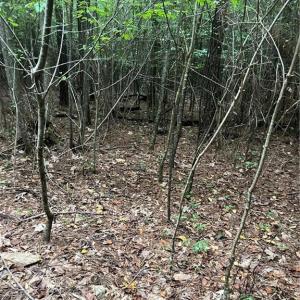 Photo #7 of Stokes School, Walnut Cove, NC 27.9 acres