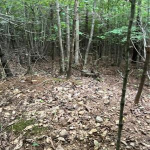 Photo #5 of Stokes School, Walnut Cove, NC 27.9 acres