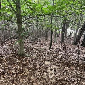 Photo #4 of Stokes School, Walnut Cove, NC 27.9 acres